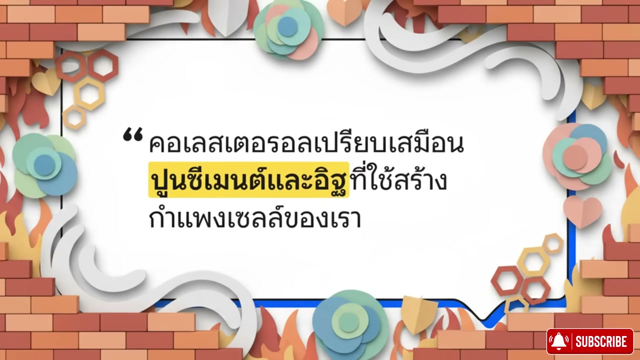 กากหมูและคอเลสเตอรอล: ความจริงที่วิทยาศาสตร์ยุคใหม่ค้นพบ - บทความจาก ITBlockman