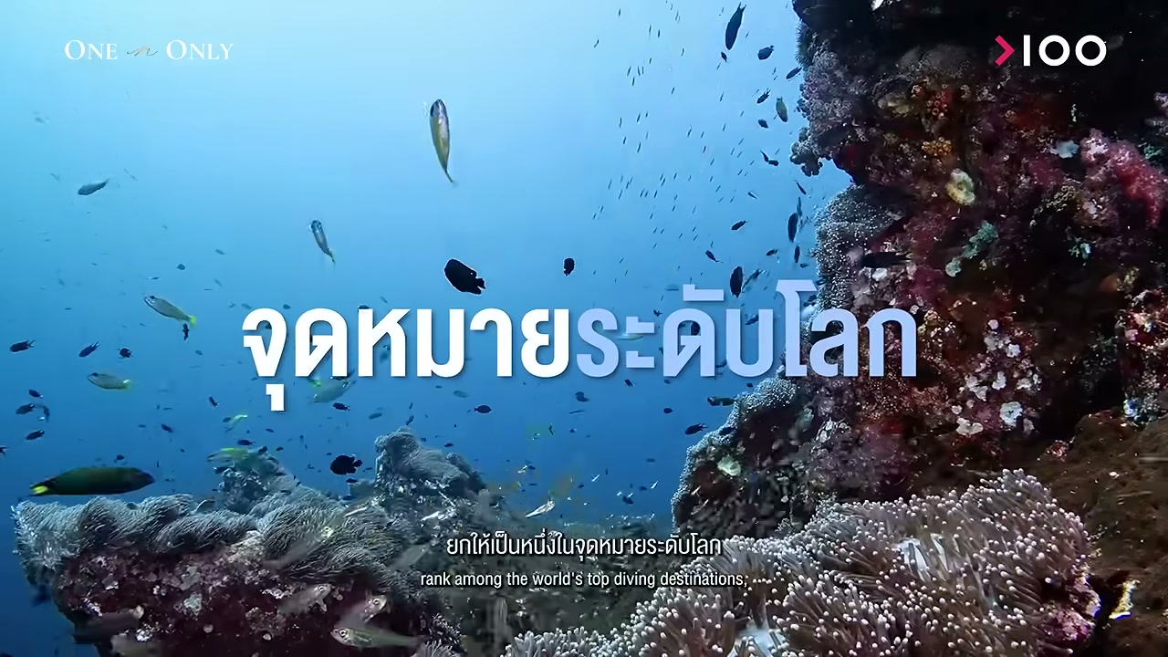 เปิดโลก Luxury Liveaboard: เจาะลึกทริปดำน้ำระดับมหาเศรษฐีที่เงินก็ซื้อไม่ได้ - บทความจาก ITBlockman