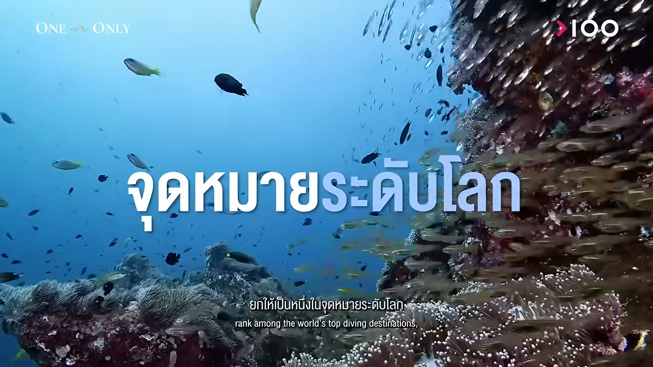 เปิดโลก Luxury Liveaboard: เจาะลึกทริปดำน้ำระดับมหาเศรษฐีที่เงินก็ซื้อไม่ได้ - บทความจาก ITBlockman