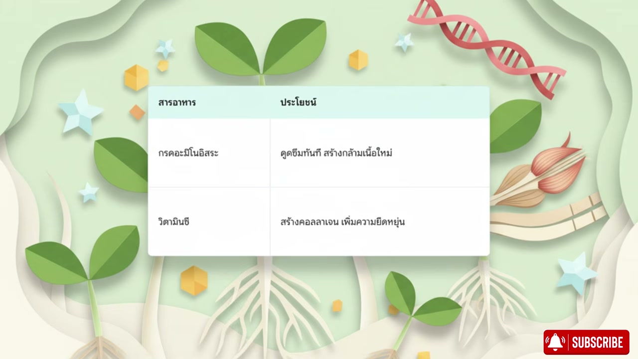 3 ผักพื้นบ้านบำรุงกล้ามเนื้อ เคล็ดลับอายุ 60 ปีขึ้นไปต้องรู้ เพื่อร่างกายที่แข็งแรง - บทความจาก ITBlockman