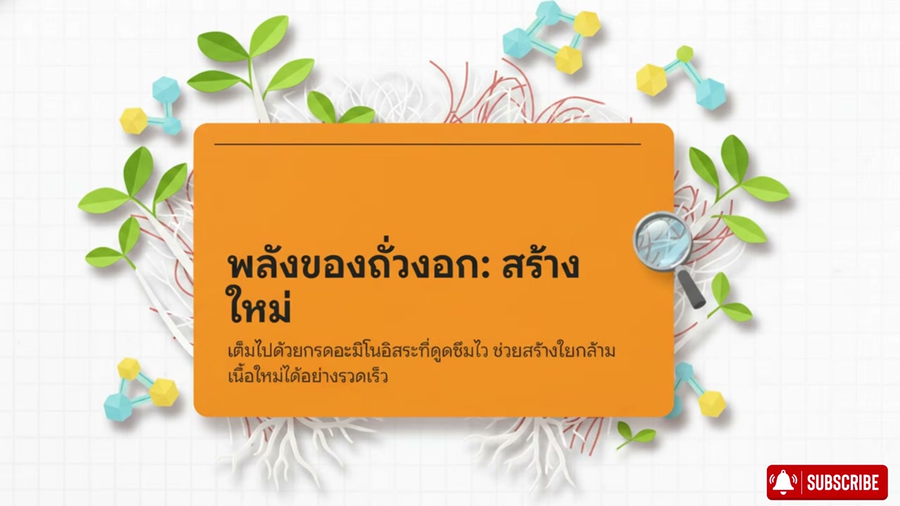 3 ผักพื้นบ้านบำรุงกล้ามเนื้อ เคล็ดลับอายุ 60 ปีขึ้นไปต้องรู้ เพื่อร่างกายที่แข็งแรง - บทความจาก ITBlockman