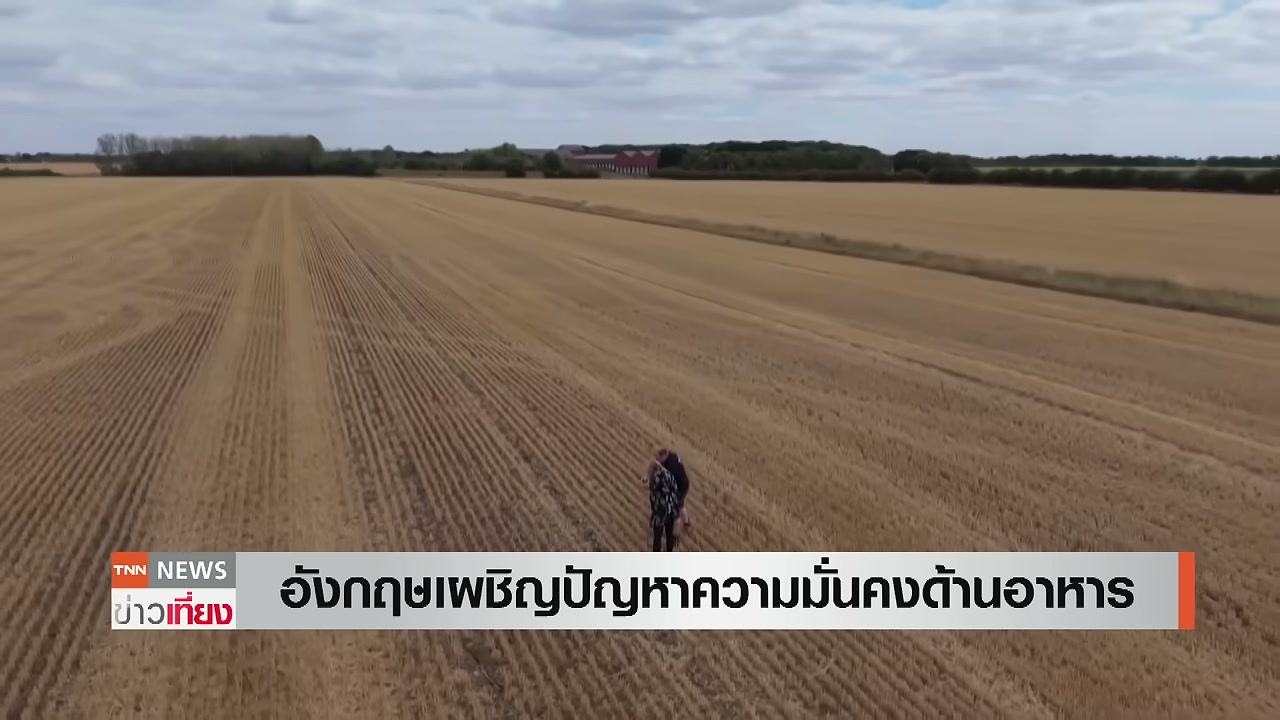 วิกฤตความมั่นคงทางอาหารในอังกฤษ: เมื่อสภาพอากาศสุดขั้วสั่นคลอนห่วงโซ่อุปทานโลก - บทความจาก ITBlockman