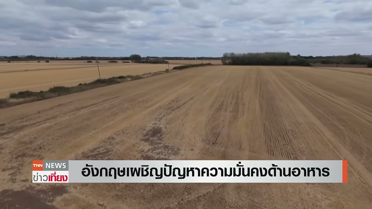 วิกฤตความมั่นคงทางอาหารในอังกฤษ: เมื่อสภาพอากาศสุดขั้วสั่นคลอนห่วงโซ่อุปทานโลก - บทความจาก ITBlockman