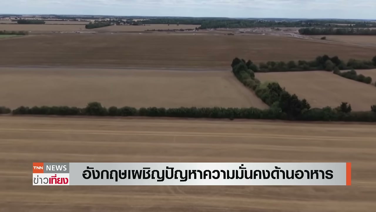 วิกฤตความมั่นคงทางอาหารในอังกฤษ: เมื่อสภาพอากาศสุดขั้วสั่นคลอนห่วงโซ่อุปทานโลก - บทความจาก ITBlockman