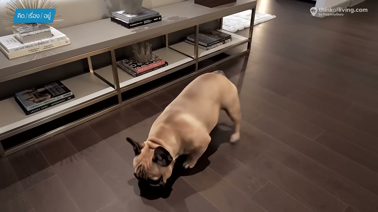 Canvas 39 The Residence คอนโดหรูใจกลางสุขุมวิท พร้อมอยู่อาศัยแบบ Pet-Friendly เต็มรูปแบบ - บทความจาก ITBlockman