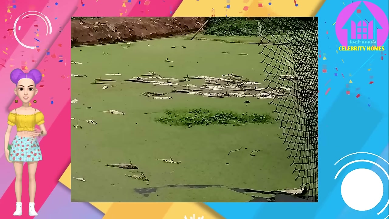 เปิดบ้าน จา พนม รีโนเวทตึกเก่าเป็นที่พักผ่อนและพื้นที่ฝึกซ้อมสุดแนว อัปเดตสุขภาพดีขึ้น 90% - บทความจาก ITBlockman