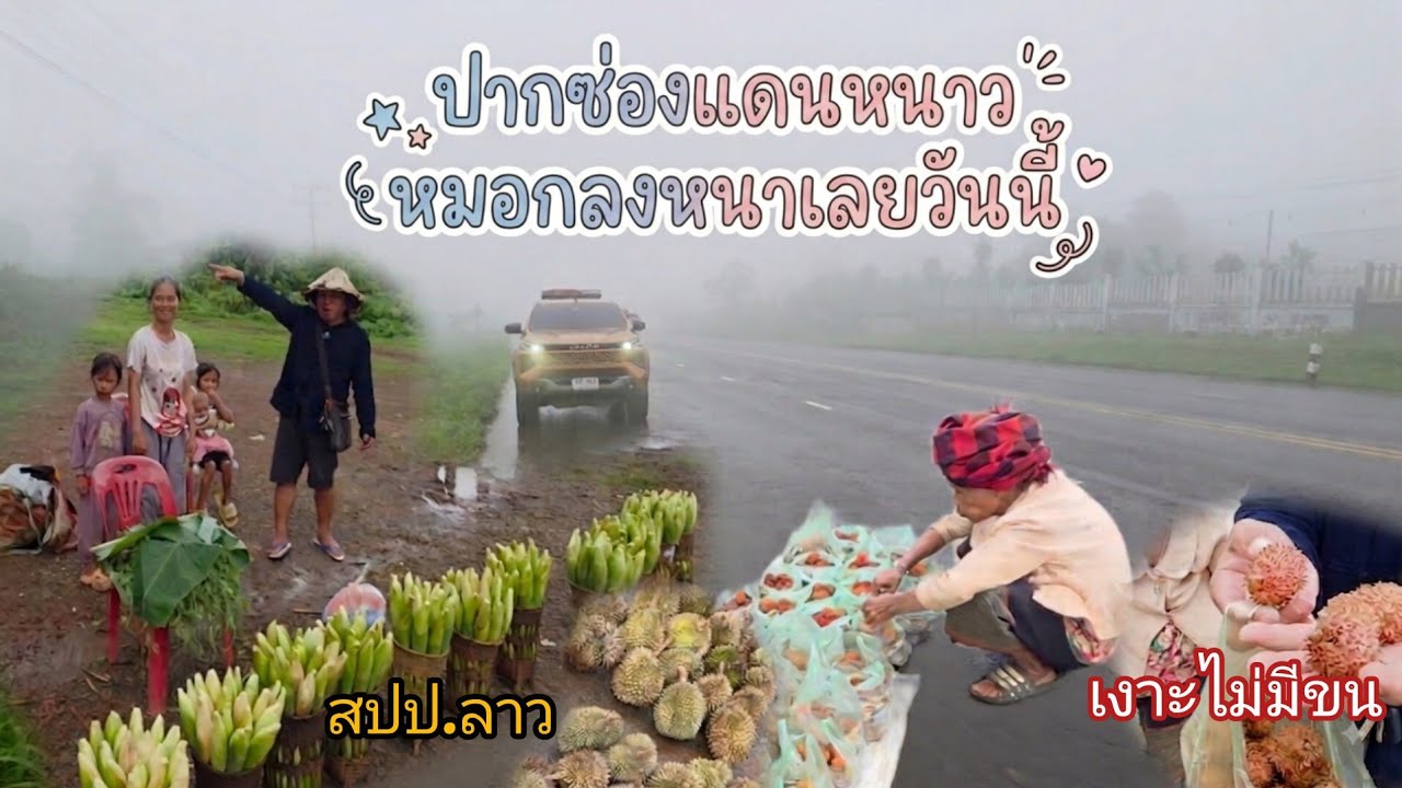 เจาะลึกทริปลาวใต้: ชมหมอกขาวที่ปากซอง พร้อมสัมผัสวิถีชีวิตชาวบ้านริมทางสู่อัตปือ