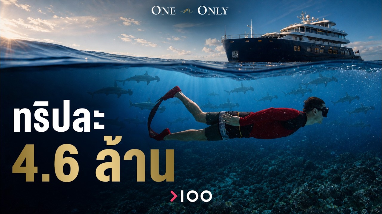 เปิดโลก Luxury Liveaboard: เจาะลึกทริปดำน้ำระดับมหาเศรษฐีที่เงินก็ซื้อไม่ได้