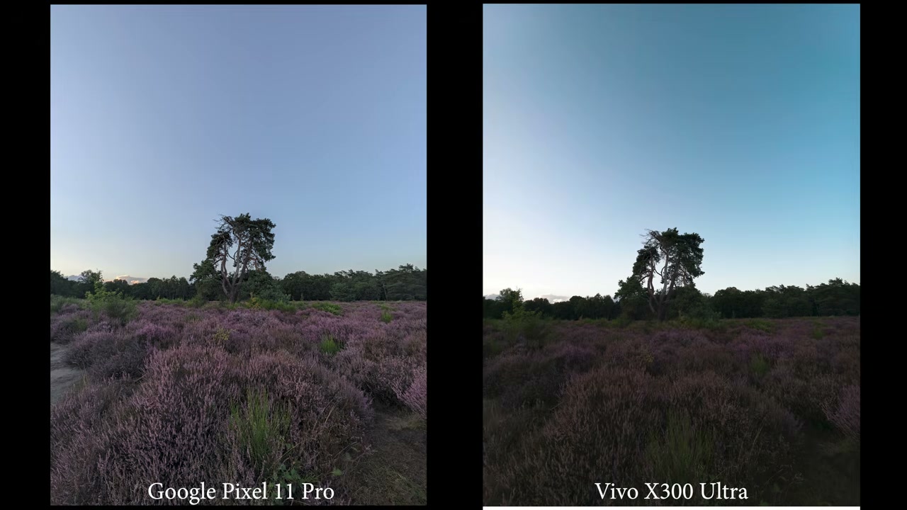เจาะลึกศึกเรือธง: Pixel 11 Pro ปะทะ Vivo X300 Ultra กล้องใครเหนือกว่ากัน? - บทความจาก ITBlockman