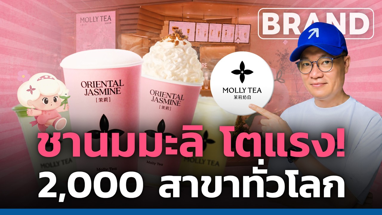 เจาะลึก Molly Tea แฟรนไชส์ชานมมะลิจากเซินเจิ้น สู่ 2,000 สาขาทั่วโลก