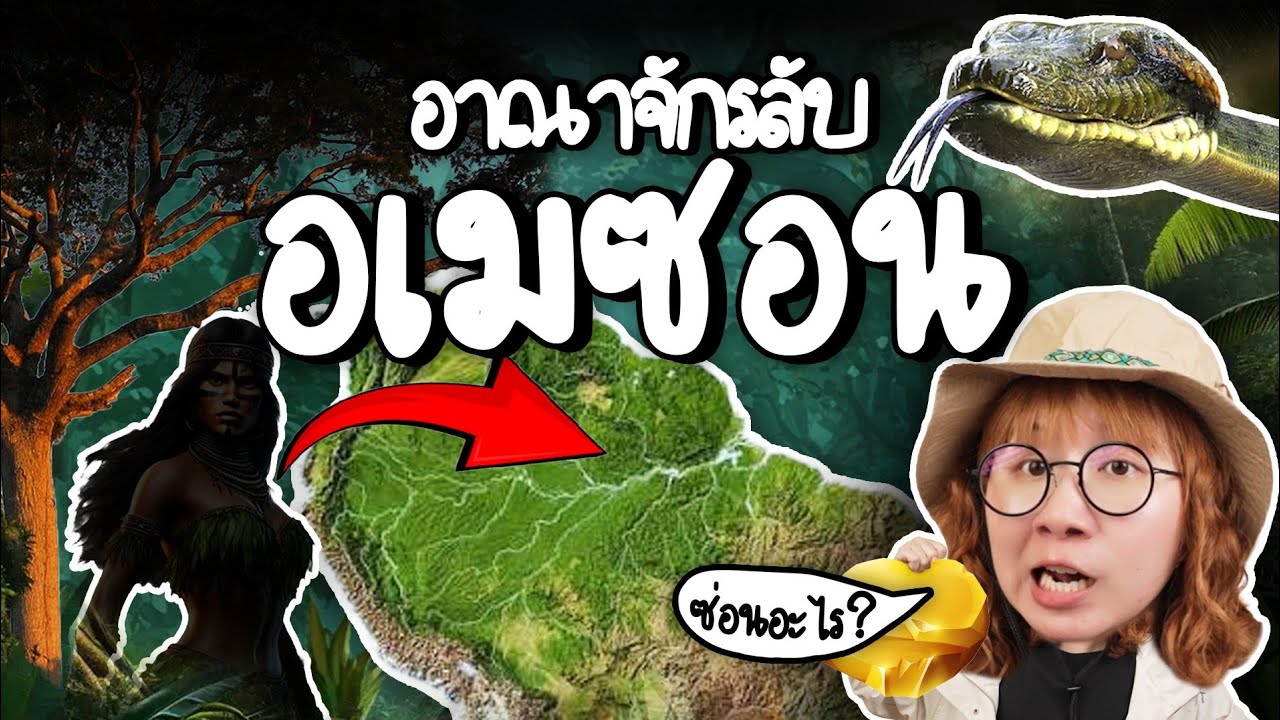 ปริศนาลึกลับแห่งป่าอเมซอน: มีอะไรซ่อนอยู่ภายใต้ผืนป่าที่ใหญ่ที่สุดในโลก?