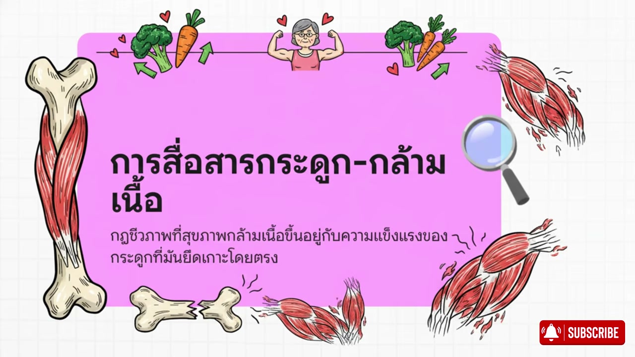 กู้คืนมวลกล้ามเนื้อให้ผู้สูงอายุด้วยผักราคาประหยัด: เคล็ดลับจากตลาดสดที่คุณอาจมองข้าม - บทความจาก ITBlockman