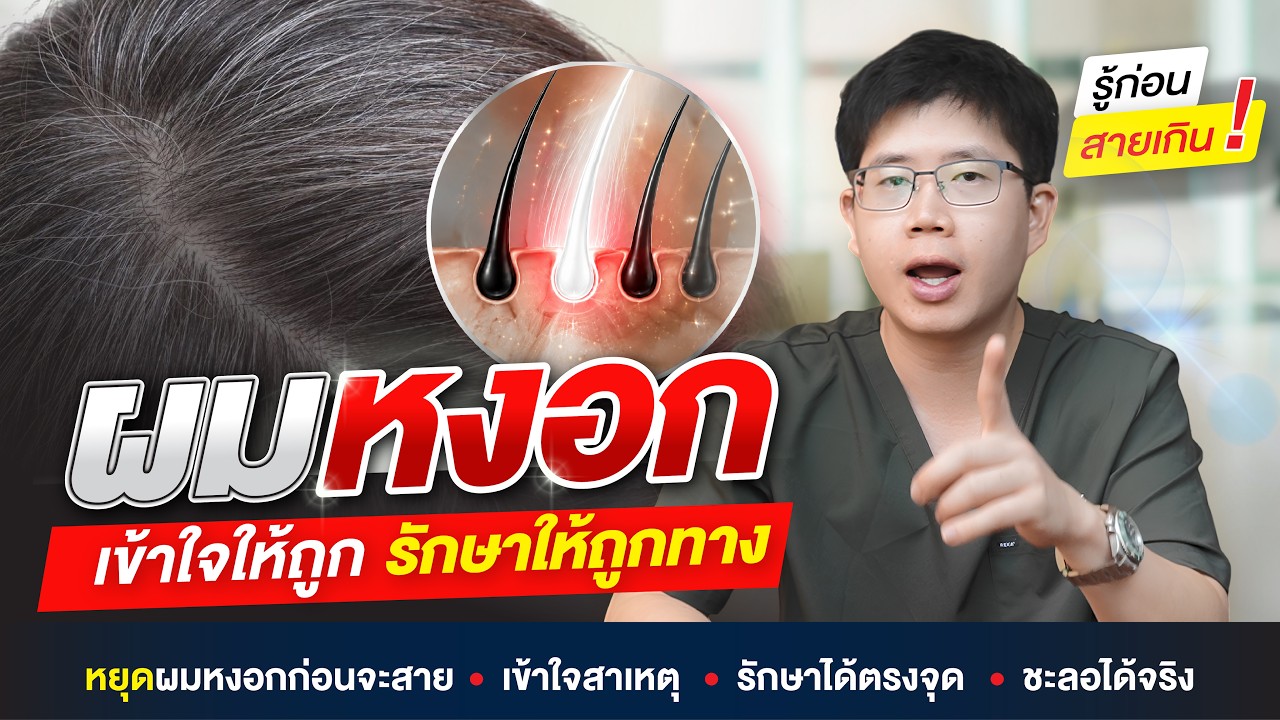 หงอกก่อนวัยแก้ได้! เจาะลึกวิทยาศาสตร์เส้นผมและ 6 พฤติกรรมที่ต้องเลิกทำทันที