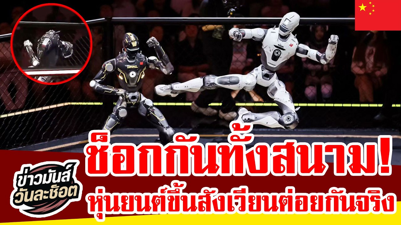 Real Steel มีอยู่จริง! หุ่นยนต์หัวหลุดกลางสังเวียนแต่ยังลุกขึ้นสู้ต่อสุดเดือด