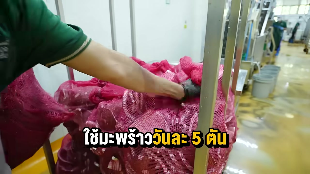 เปิดความลับ 75 ปี ไผ่ทองไอสครีม: ทำไมถึงใช้วันละ 5 ตัน และความอร่อยระดับตำนาน - บทความจาก ITBlockman